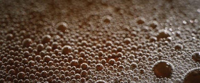 Video Reference: Water, Fluid, Liquid, Underwater, Marine invertebrates, Marine biology, Circle, Pattern, Terrestrial plant, Reef