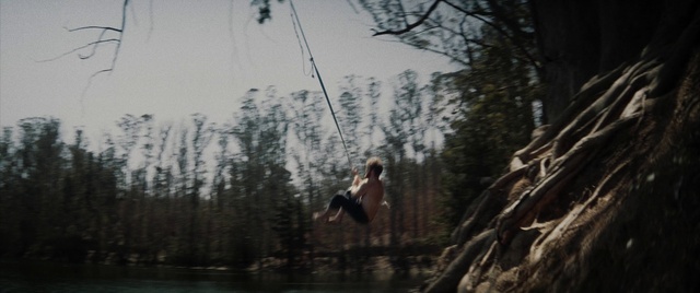 Video Reference: Water, Sky, Tree, Plant, Lake, Shorts, Grass, Forest, Trunk, Rope