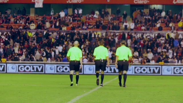 Video Reference: Shorts, Soccer, Sports equipment, Player, Ball game, Fan, Competition event, Grass, Championship, Sports