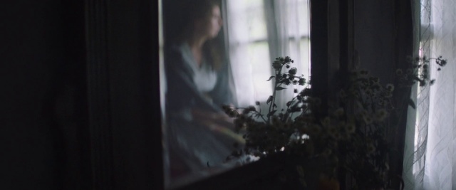 Video Reference: Window, Plant, Flash photography, Wood, Tints and shades, Twig, Darkness, Tree, Grass, Forest