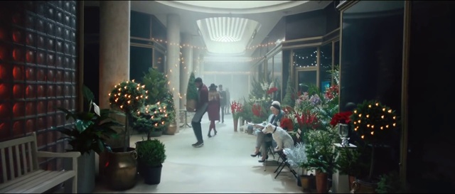 Video Reference: Plant, Flowerpot, Houseplant, Lighting, Flower, Interior design, Decoration, Flower Arranging, Chair, Event