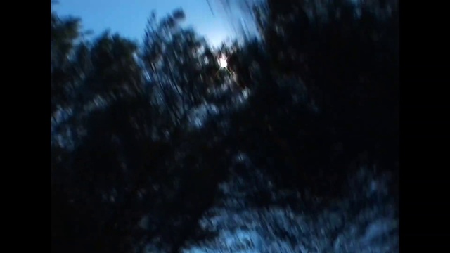 Video Reference: Window, Automotive lighting, Sky, Twig, Wood, Natural landscape, Tints and shades, Electric blue, Grass, Tree