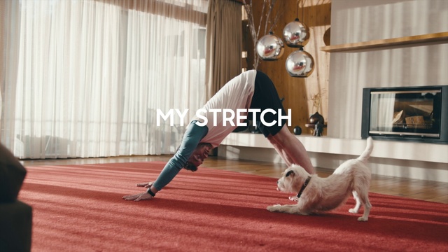 Video Reference: Picture frame, Leg, Dog, Wood, Comfort, Curtain, Floor, Flooring, Fawn, Hardwood