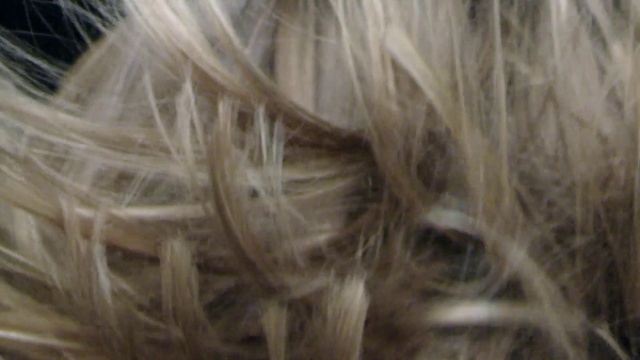 Video Reference: Grey, Wood, Eyelash, Snout, Fur, Pattern, Macro photography, Whiskers, Painting, Art