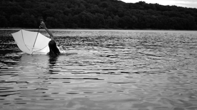Video Reference: Water, Water resources, Boat, Boats and boating--Equipment and supplies, Vehicle, Lake, Watercraft, Outdoor recreation, Sailing, Tree