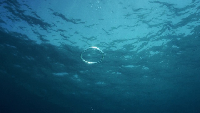 Video Reference: Water, Azure, Liquid, Fluid, Underwater, Aqua, Marine biology, Recreation, Electric blue, Circle