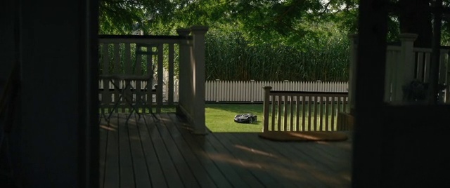Video Reference: Plant, Wood, Fence, Sunlight, Tree, Grass, Shade, Home fencing, Tints and shades, Landscape