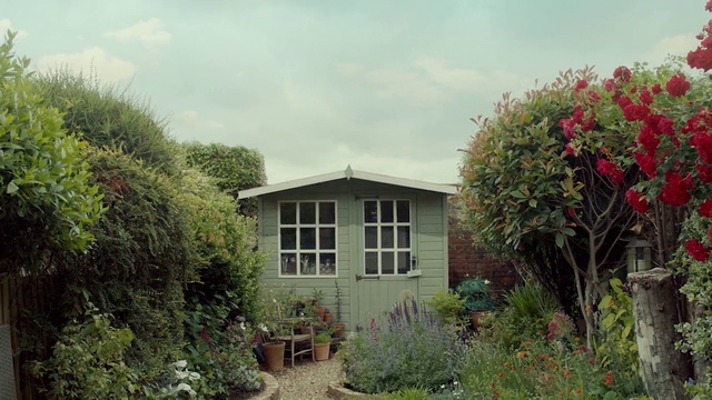 Video Reference: Plant, Flower, Sky, Window, Property, Building, Cloud, Plant community, Land lot, House