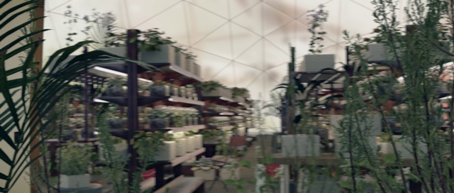 Video Reference: Plant, Urban design, Electricity, Landscape, Overhead power line, Road, City, Wood, Facade, Mixed-use