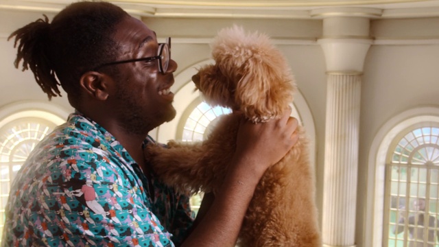 Video Reference: Dog, Water dog, Ear, Carnivore, Gesture, Vision care, Fawn, Companion dog, Dog breed, Window