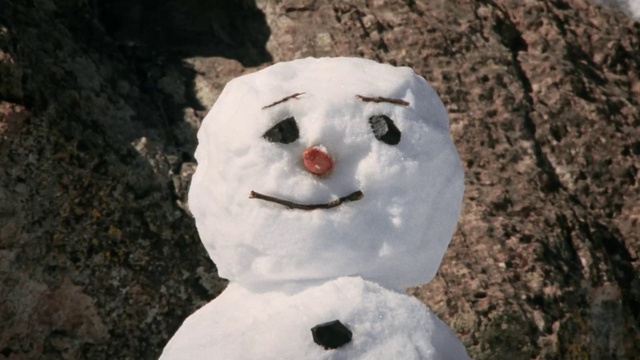 Video Reference: Nose, Face, Snowman, Head, Snow, Freezing, Snout, Winter, Happy, Hat