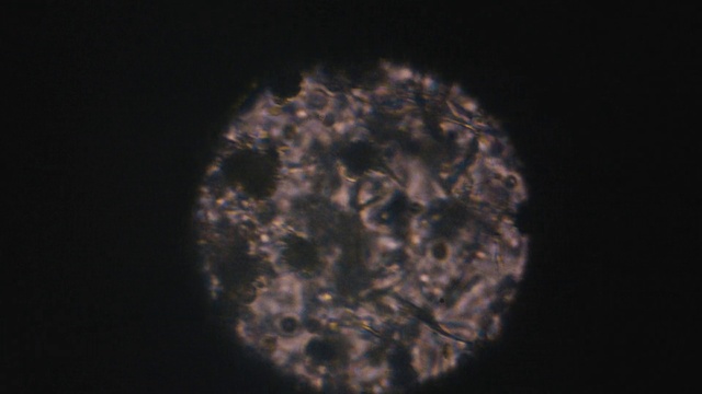 Video Reference: Astronomical object, Science, Gas, Astronomy, Celestial event, Circle, Electric blue, Event, Font, Bioluminescence