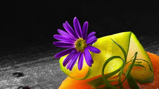 Video Reference: Flower, Plant, Petal, Nature, Purple, Violet, Herbaceous plant, Magenta, Flowering plant, Annual plant