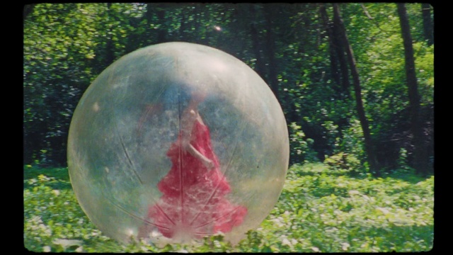 Video Reference: Plant, Flower, Biome, Tree, Sculpture, Grass, Natural landscape, Yard globe, Art, Tints and shades