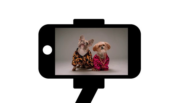 Video Reference: Arm, Tablet computer, Output device, Portable communications device, Communication Device, Gesture, Sleeve, Mobile device, Gadget, Mobile phone