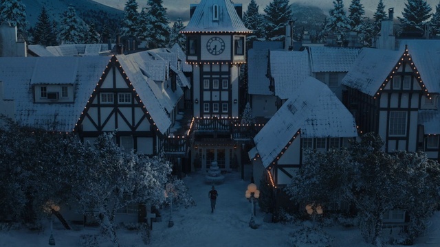 Video Reference: Atmosphere, Window, Plant, World, Building, Snow, Nature, Tree, Branch, Freezing