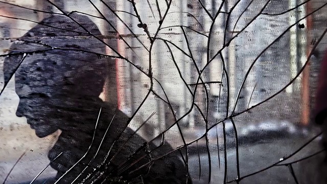 Video Reference: Plant, Leaf, Twig, Wood, Trunk, Vegetation, Natural landscape, Automotive tire, Tints and shades, Freezing