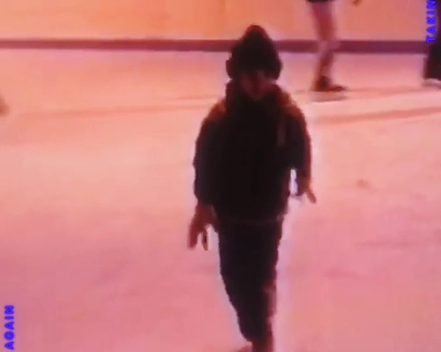 Video Reference: Pink, Flooring, Magenta, Dog breed, Event, Entertainment, Electric blue, Recreation, Fun, Sports