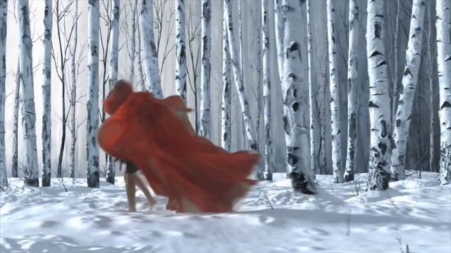 Video Reference: Snow, Plant, Natural environment, Wood, Branch, Natural landscape, Trunk, People in nature, Tree, Twig