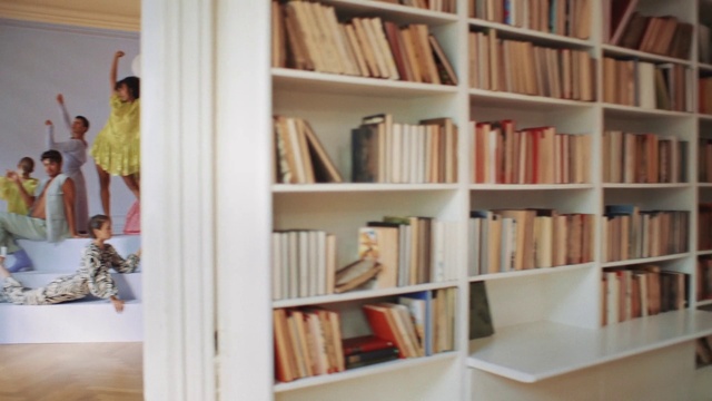 Video Reference: Bookcase, Shelf, Furniture, Book, Publication, Shelving, Interior design, Building, Room, Art