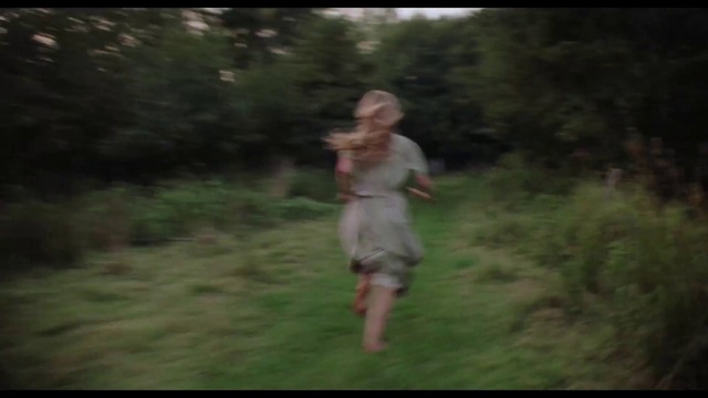 Video Reference: Plant, Flash photography, Sleeve, People in nature, Natural landscape, Happy, Fawn, Grass, Wood, Grassland