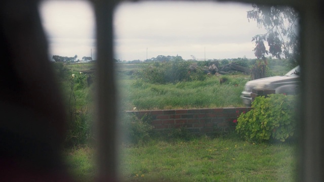 Video Reference: Plant, Sky, Cloud, Window, Automotive mirror, Car, Automotive lighting, Sunlight, Shade, Atmospheric phenomenon