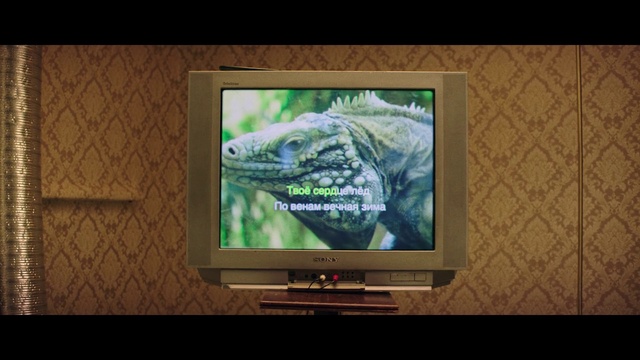 Video Reference: Output device, Cable television, Display device, Television set, Adaptation, Flat panel display, Technology, Fish, Television, Computer monitor accessory