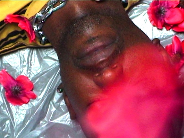 Video Reference: Lip, Flower, Smile, Mouth, Plant, Petal, Eyelash, Pink, Red, Happy