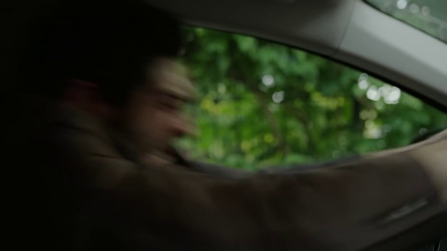 Video Reference: Eye, Window, Automotive lighting, Automotive mirror, Jaw, Plant, Automotive exterior, Car, Vehicle door, Rear-view mirror