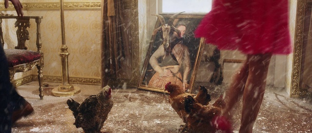 Video Reference: Bird, Phasianidae, Comb, Chicken, Galliformes, Art, Poultry, Painting, Beak, Rooster