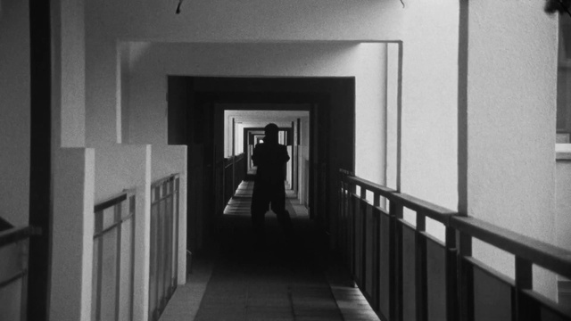 Video Reference: Building, Black-and-white, Grey, Style, Picture frame, Art, Symmetry, Wood, Monochrome, Monochrome photography