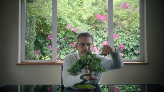 Video Reference: Plant, Flower, Window, Botany, Leaf, Flowerpot, Petal, Pink, Terrestrial plant, Shrub