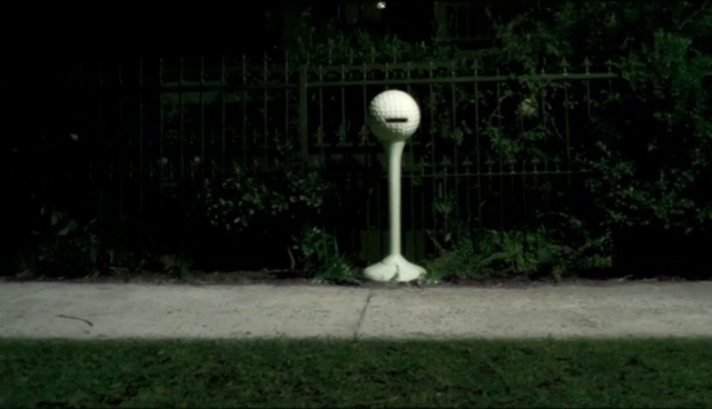 Video Reference: Plant, Street light, Grass, Art, Wood, Groundcover, Grass family, Shrub, Lawn, Trunk