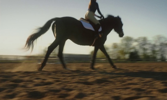 Video Reference: Horse, Sky, Ecoregion, Horse tack, Bit, Working animal, Saddle, Horse supplies, Bridle, English pleasure