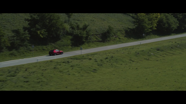 Video Reference: Tire, Plant, Vehicle, Car, Tree, Automotive design, Kit car, Asphalt, Wheel, Road surface