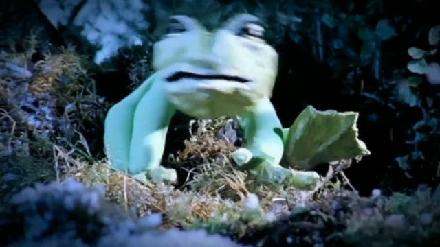 Video Reference: Head, Plant, Eye, Vertebrate, Leaf, Human body, Jaw, Organism, Underwater, Terrestrial plant