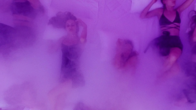 Video Reference: Plant, Purple, Petal, Violet, Pink, Magenta, Electric blue, Entertainment, Event, Tree