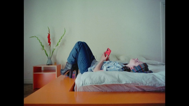 Video Reference: Furniture, Table, Comfort, Plant, Orange, Wood, House, Pillow, Flooring, Houseplant