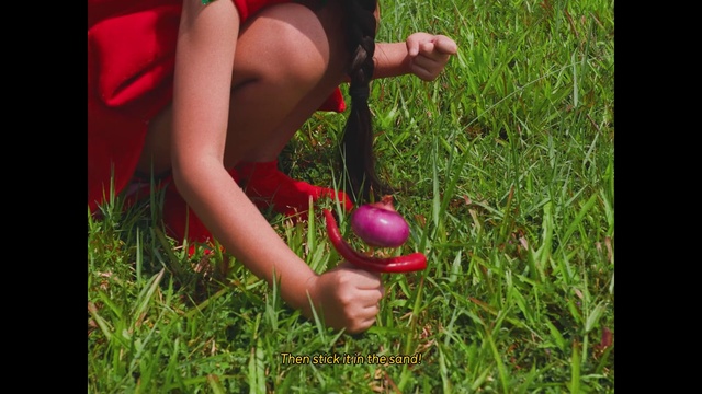 Video Reference: Plant, People in nature, Happy, Grass, Fruit, Grassland, Meadow, Toy, Grass family, Lawn