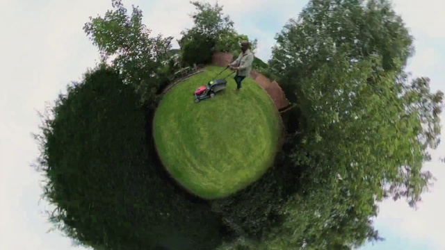 Video Reference: Sky, Plant, Tree, Vegetation, Terrestrial plant, World, Grass, Cloud, Landscape, Shrub