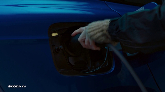Video Reference: Automotive lighting, Hood, Motor vehicle, Automotive mirror, Automotive tire, Window, Vehicle, Gesture, Headlamp, Bumper