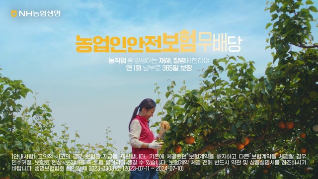 Video Reference: Plant, People in nature, Natural landscape, Happy, Vegetation, Travel, Sky, Font, Adaptation, Summer