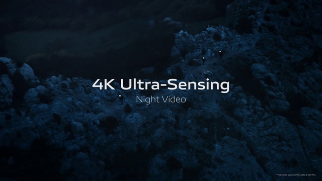 Video Reference: Sky, Font, Plant, Natural landscape, Electric blue, Landscape, Astronomical object, Darkness, Bedrock, Tree