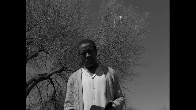 Video Reference: black and white, outdoor, man, trees, leafless, portrait, low angle, winter, somber, standing, gloves, cardigan, shirt, daylight, nature, solitary