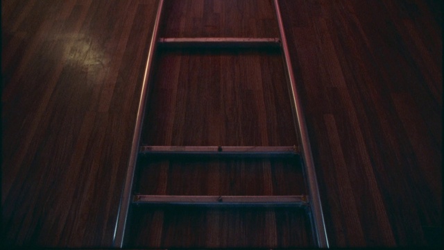 Video Reference: Brown, Wood, Flooring, Rectangle, Floor, Wood stain, Plank, Hardwood, Parallel, Tints and shades
