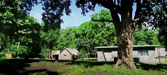 Video Reference: Plant, Sky, Building, Cloud, Tree, Natural landscape, Shade, Land lot, Grass, Cottage
