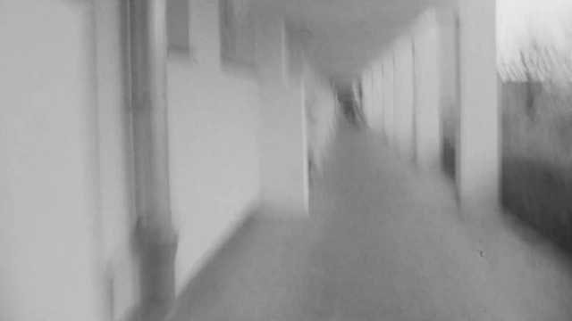 Video Reference: Grey, Black-and-white, Floor, Wood, Flooring, Tints and shades, Art, Symmetry, Monochrome photography, Monochrome