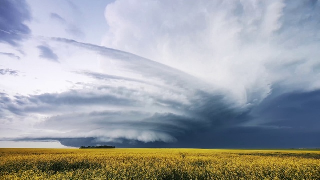 Video Reference: Cloud, Sky, Plant, Daytime, Ecoregion, Natural landscape, People in nature, Sunlight, Atmospheric phenomenon, Grass