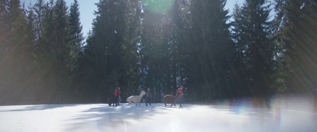 Video Reference: Water, Natural environment, Tree, Sky, Plant, Sunlight, Atmospheric phenomenon, Freezing, Landscape, Recreation