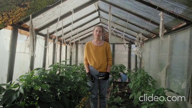 Video Reference: Plant, Wood, Real estate, Grass, Roof, Shade, T-shirt, Soil, Leisure, Garden